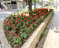 20 JR 新橋 浜松町 田町 品川 港区 街路樹 駅 緑地 季節 花壇 草花 植え替え