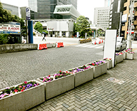 20 JR 新橋 浜松町 田町 品川 港区 街路樹 駅 緑地 季節 花壇 草花 植え替え