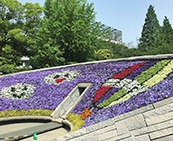 20 墨田区 都立 横網町 公園 春 花壇 植替え