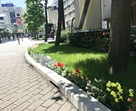 20 ルミネ 池袋 西口 歩道 花壇 季節 草花 花植え