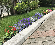 20 ルミネ 池袋 西口 歩道 花壇 季節 草花 花植え