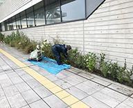 20 東京 アクアティクスセンター 外構 植栽 年間 管理