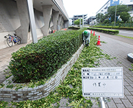 20 千葉県 国際 水泳場 外構 植栽 年間 管理