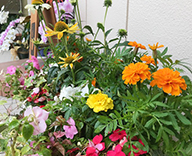 20 上板橋 キースステーション 草花プランター 観葉植物 造花アレンジメント 和風