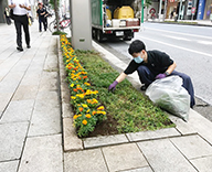 20 銀座中央通り 花壇 除草 メンテナンス マリーゴールド Futa-toki