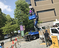 20 芝公園 港区役所 樹木管理 剪定 病害虫防除 除草 植栽維持管理