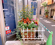 20 吉祥寺 施設 プランター 草花 植え替え 緑化 Futa-toki