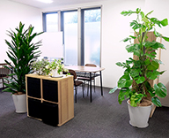 20 恵比寿 STRAIL 恵比寿スタジオ レンタル 観葉植物 適宜交換 空間作り