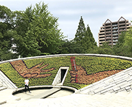 20 東京都 墨田区 都立横網町公園 花壇 Futatoki