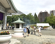 20 東京都 墨田区 都立横網町公園 花壇 Futatoki