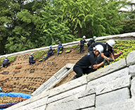 20 東京都 墨田区 都立横網町公園 花壇 Futatoki