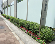 20 八丁掘 植栽管理 草花交換 草花 街路 SEASONS