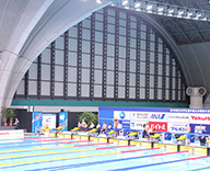 20 東京辰巳国際水泳場 日本学生選手権競技大会 観葉植物 スポット納品 SEASONS