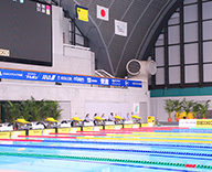 20 東京辰巳国際水泳場 日本学生選手権競技大会 観葉植物 スポット納品 SEASONS  