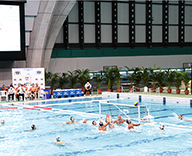 20 東京辰巳国際水泳場 日本学生選手権競技大会 観葉植物 スポット納品 SEASONS