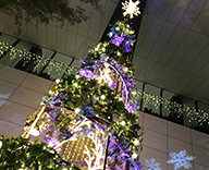 20 京橋 GINZA KAMON ランドマーク 東京 スクエアガーデン ウィンター イルミネーション シンボル クリスマスツリー 設置