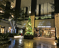 20 京橋 GINZA KAMON ランドマーク 東京 スクエアガーデン ウィンター イルミネーション シンボル クリスマスツリー 設置