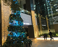 20 京橋 GINZA KAMON ランドマーク 東京 スクエアガーデン ウィンター イルミネーション シンボル クリスマスツリー 設置
