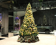 20 大阪市内 ホテルロイヤルクラッシック クリスマス装飾 クリスマスツリー SEASONS
