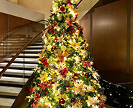 20 滋賀県草津 草津エストピアホテル クリスマス装飾 クリスマスツリー SEASONS