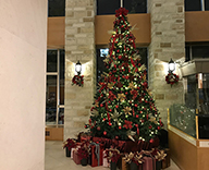 20 神戸市内 ホテルサンルートソプラ神戸 サンルートソプラ神戸アネッサ クリスマス装飾 SEASONS