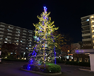 20 千葉県 マンション 植栽 イルミネーション クリスマスツリー SEASONS