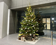 20 八丁堀 綜通八丁堀ビル クリスマス装飾 SEASONS