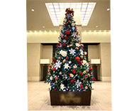 20 大阪市内　商業施設　クリスマス装飾　SEASONS