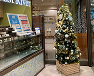 20 尼崎 ホテルヴィスキオ尼崎 クリスマス装飾 SEASONS