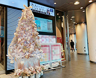 20 京都 商業施設 クリスマスツリー 設置 SEASONS