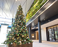 20 千代田区 神田 オフィス エントランス クリスマスツリー SEASONS