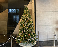 20 神戸市内 マンション エントランス クリスマス装飾　SEASONS