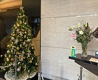 20 神戸市内 マンション エントランス クリスマス装飾　SEASONS