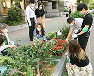 20 中央区 花咲く 街角 プロジェクト 受注 花 手配