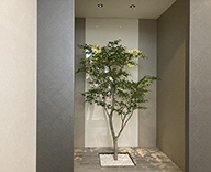 20 大阪 マンション ギャラリー 壁面 アート グリーン モミジ フェイクグリーン SEASONS