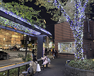 20 西銀座 通り 数寄屋橋公園 樹木 イルミネーション 装飾 SEASONS