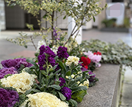 20 宝町 ビル 花壇 草花 草花レンタル hitotoki