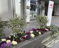 20 宝町 ビル 花壇 草花 草花レンタル hitotoki