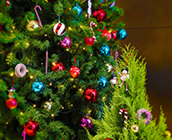 20 江東区 オフィス 菓子 クリスマス 装飾 SEASONS