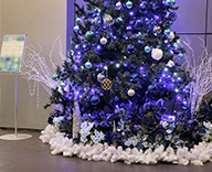20 荻窪 オフィス エントランス クリスマス 装飾 SEASONS