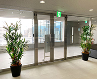 21 神戸 オフィス 観葉 植物 レンタル hitotoki