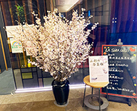 21 墨田区 スカイツリー イーストタワー 啓翁桜 生花 展示 SEASONS