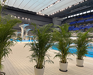 21 辰巳 東京アクアティクスセンター FINA Diving World Cup2021 東京2020オリンピック 最終選考会 観葉植物 SEASONS