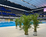 21 辰巳 東京アクアティクスセンター FINA Diving World Cup2021 東京2020オリンピック 最終選考会 観葉植物 SEASONS