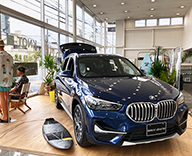 21 藤沢市 Shonan BMW ショールーム 観葉植物 装飾 hitotoki