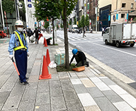 21 銀座 花壇 花壇整備 除草 剪定 メンテナンス Futa-Toki