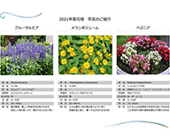 21 中央区 花の都中央区宣言 アドプト制度 花咲く街角花壇 Futa-Toki