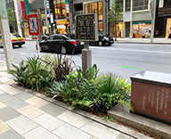 21 銀座 中央通り 花壇 メンテナンス Futa-toki