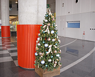 21 晴海 客船 ターミナル 冬 クリスマス 装飾 SEASONS