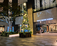 21 GINZA KAMON 京橋 東京スクエアガーデン イルミネーション クリスマスツリー